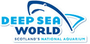 Deep Sea World